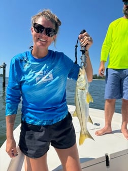 Fishing in Sarasota, Florida