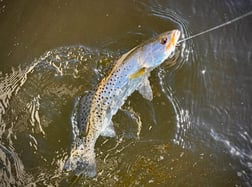 Fishing in Tampa, Florida