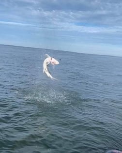 Sturgeon Fishing in Garibaldi, Oregon