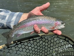 Fishing in Bend, Oregon