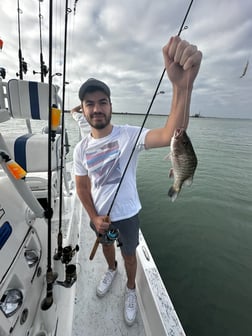 Fishing in South Padre Island, Texas