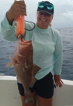 Red Grouper fishing in Clearwater, Florida