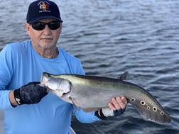 Snook Fishing in Jupiter, Florida