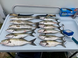 Fishing in Rodanthe, North Carolina