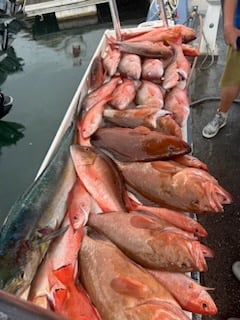 Swordfish Fishing in Pompano Beach, Florida