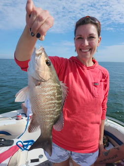 Fishing in Fort Myers Beach, Florida