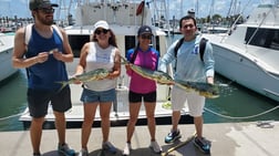 Mahi Mahi / Dorado fishing in Hillsboro Beach, Florida