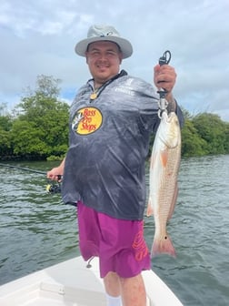 Speckled Trout Fishing in Sarasota, Florida