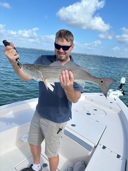 Fishing in Sarasota, Florida