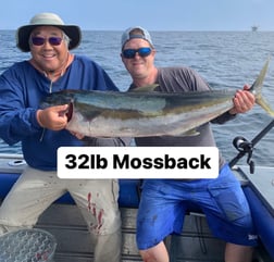 Yellowtail Amberjack Fishing in Oxnard, California