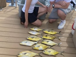 Florida Pompano Fishing in Jupiter, Florida