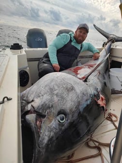 Fishing in Beaufort, North Carolina