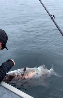 Fishing in Oxnard, California