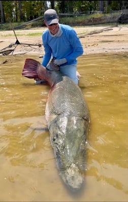 Alligator Gar Fishing in Coldspring, Texas