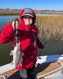 Gag Grouper Fishing in Little River, South Carolina