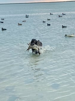 Fishing in South Padre Island, Texas