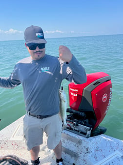 Fishing in South Padre Island, Texas