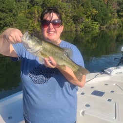 Fishing in Austin, Texas