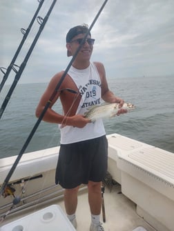 Redfish fishing in Hatteras, North Carolina