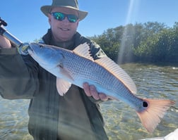 Black Drum Fishing in New Smyrna Beach, Florida