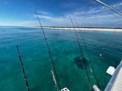 Mangrove Snapper Fishing in Key West, Florida