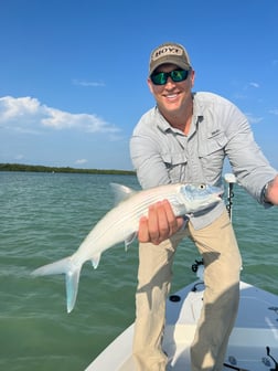 Tarpon Fishing in Islamorada, Florida