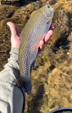 Fishing in Hume, California