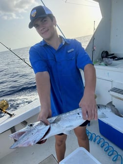 False Albacore Fishing in Pompano Beach, Florida