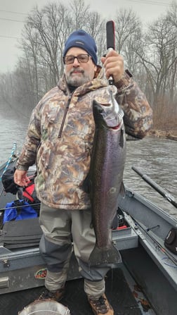 Steelhead Fishing in Verona Beach, New York