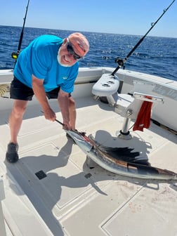 Sailfish Fishing in Riviera Beach, Florida