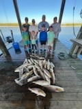 Black Drum, Redfish, Speckled Trout Fishing in Delacroix, Louisiana