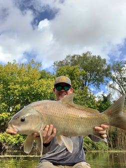 Smallmouth Buffalo Fishing in Austin, Texas