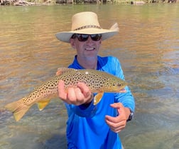 Brown Trout fishing in Bend, Oregon