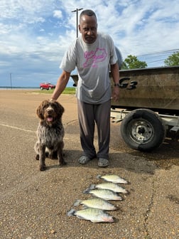 Fishing in Oxford, Mississippi