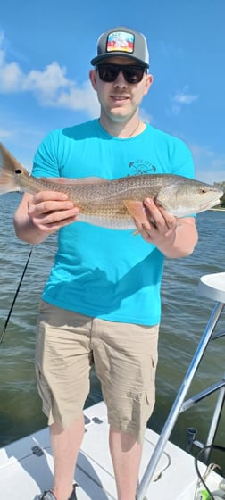 Redfish Fishing in Clearwater, Florida