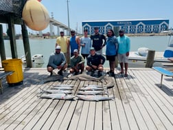 Blacktip Shark Fishing in Freeport, Texas