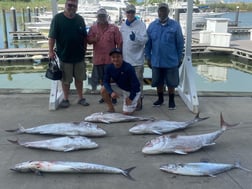 Amberjack fishing in Freeport, Texas