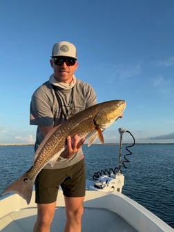 Fishing in Tampa, Florida