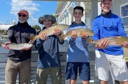 Black Drum Fishing in Galveston, Texas