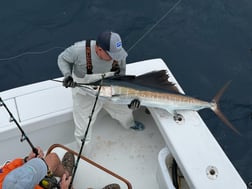 Fishing in Palm Beach, Florida