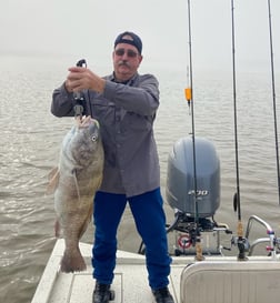 Black Drum Fishing in Freeport, Texas