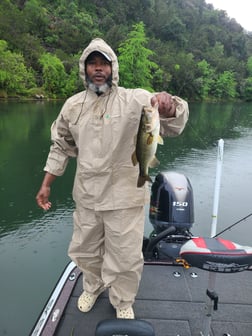 Fishing in Austin, Texas