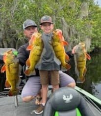 Largemouth Bass Fishing in Okeechobee, Florida, USA