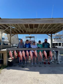 Red Snapper Fishing in South Padre Island, Texas