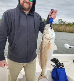 Redfish, Speckled Trout Fishing in Galveston, Texas