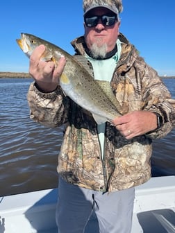 Speckled Trout Fishing in Galveston, Texas