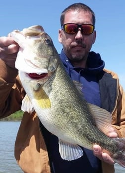 Largemouth Bass Fishing in Alba, Texas