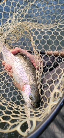 Fishing in Broken Bow, Oklahoma