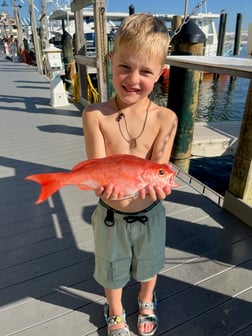 Fishing in Destin, Florida