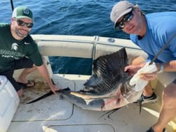 Mutton Snapper Fishing in Fort Lauderdale, Florida